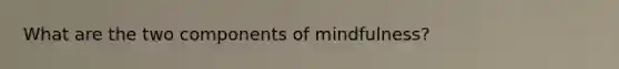 What are the two components of mindfulness?