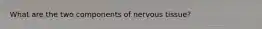 What are the two components of nervous tissue?