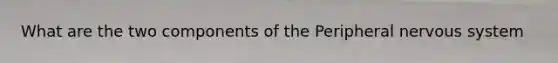 What are the two components of the Peripheral nervous system