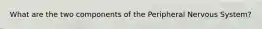 What are the two components of the Peripheral Nervous System?