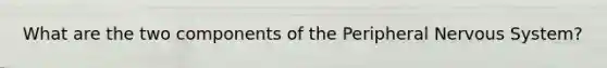 What are the two components of the Peripheral Nervous System?