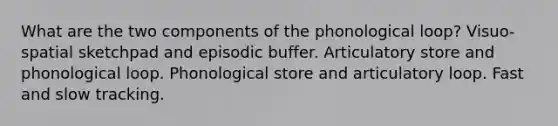 What are the two components of the phonological loop? Visuo-spatial sketchpad and episodic buffer. Articulatory store and phonological loop. Phonological store and articulatory loop. Fast and slow tracking.