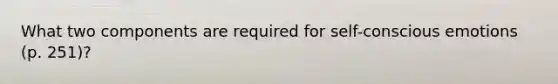 What two components are required for self-conscious emotions (p. 251)?