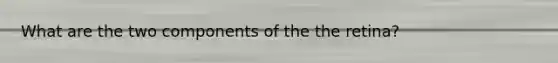 What are the two components of the the retina?