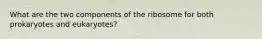 What are the two components of the ribosome for both prokaryotes and eukaryotes?