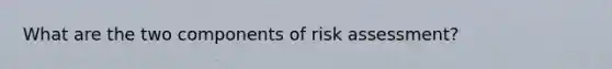 What are the two components of risk assessment?