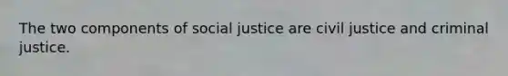 The two components of social justice are civil justice and criminal justice.