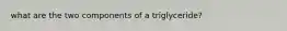 what are the two components of a triglyceride?