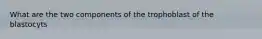 What are the two components of the trophoblast of the blastocyts