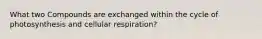 What two Compounds are exchanged within the cycle of photosynthesis and cellular respiration?