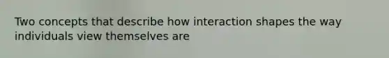 Two concepts that describe how interaction shapes the way individuals view themselves are