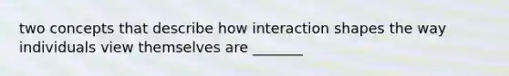 two concepts that describe how interaction shapes the way individuals view themselves are _______