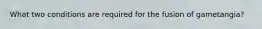 What two conditions are required for the fusion of gametangia?