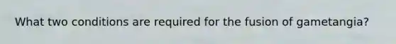 What two conditions are required for the fusion of gametangia?