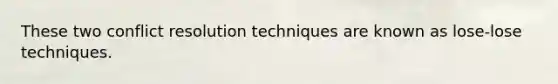 These two conflict resolution techniques are known as lose-lose techniques.