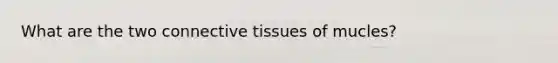 What are the two connective tissues of mucles?