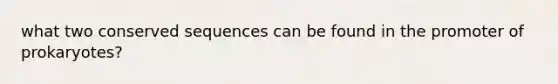 what two conserved sequences can be found in the promoter of prokaryotes?