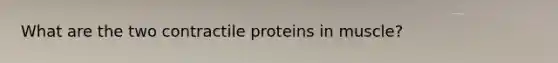 What are the two contractile proteins in muscle?