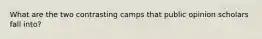 What are the two contrasting camps that public opinion scholars fall into?