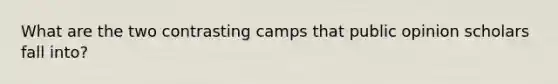 What are the two contrasting camps that public opinion scholars fall into?