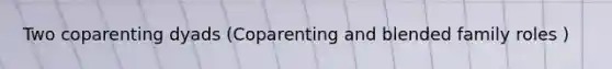 Two coparenting dyads (Coparenting and blended family roles )