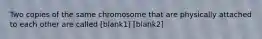 Two copies of the same chromosome that are physically attached to each other are called [blank1] [blank2]