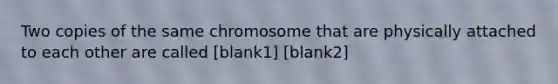 Two copies of the same chromosome that are physically attached to each other are called [blank1] [blank2]