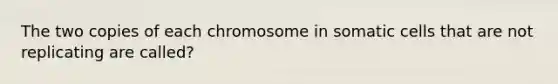 The two copies of each chromosome in somatic cells that are not replicating are called?