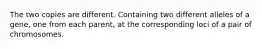 The two copies are different. Containing two different alleles of a gene, one from each parent, at the corresponding loci of a pair of chromosomes.