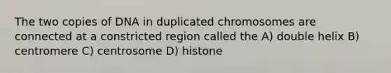 The two copies of DNA in duplicated chromosomes are connected at a constricted region called the A) double helix B) centromere C) centrosome D) histone