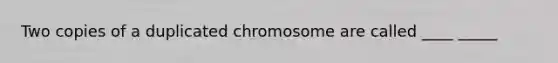 Two copies of a duplicated chromosome are called ____ _____