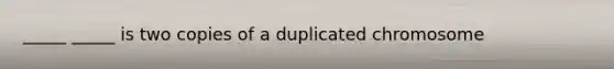 _____ _____ is two copies of a duplicated chromosome