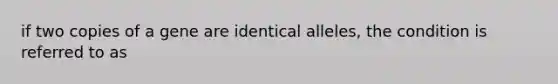 if two copies of a gene are identical alleles, the condition is referred to as