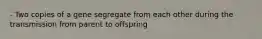 - Two copies of a gene segregate from each other during the transmission from parent to offspring