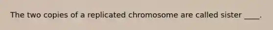 The two copies of a replicated chromosome are called sister ____.