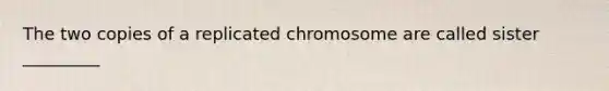 The two copies of a replicated chromosome are called sister _________