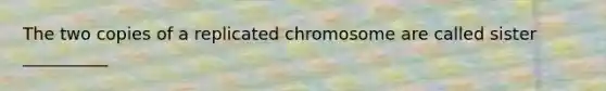 The two copies of a replicated chromosome are called sister __________