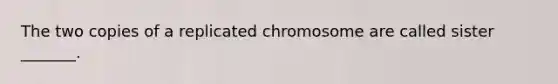 The two copies of a replicated chromosome are called sister _______.