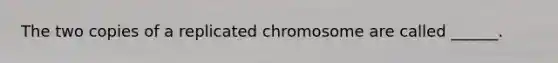 The two copies of a replicated chromosome are called ______.