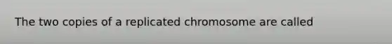 The two copies of a replicated chromosome are called