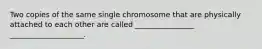 Two copies of the same single chromosome that are physically attached to each other are called ________________ ____________________.