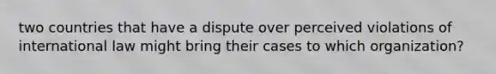 two countries that have a dispute over perceived violations of international law might bring their cases to which organization?