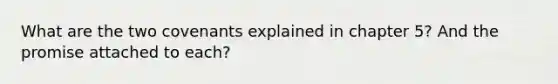 What are the two covenants explained in chapter 5? And the promise attached to each?