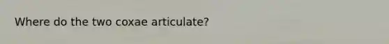 Where do the two coxae articulate?