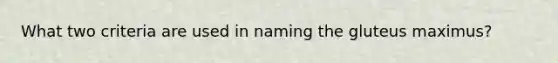 What two criteria are used in naming the gluteus maximus?