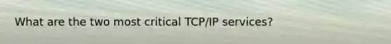 What are the two most critical TCP/IP services?