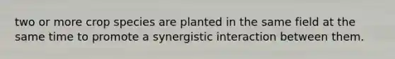 two or more crop species are planted in the same field at the same time to promote a synergistic interaction between them.