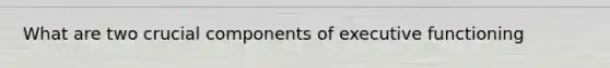 What are two crucial components of executive functioning