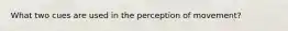What two cues are used in the perception of movement?