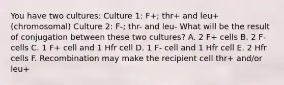 You have two cultures: Culture 1: F+; thr+ and leu+ (chromosomal) Culture 2: F-; thr- and leu- What will be the result of conjugation between these two cultures? A. 2 F+ cells B. 2 F- cells C. 1 F+ cell and 1 Hfr cell D. 1 F- cell and 1 Hfr cell E. 2 Hfr cells F. Recombination may make the recipient cell thr+ and/or leu+